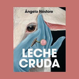Lecce cruda, cuando la lengua no nos habla