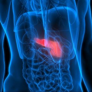 A golpe de bit - A golpe de bit - El algoritmo que predice el futuro del cáncer de páncreas - 26/09/25 - escuchar ahora