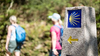 El 'Camino de esperanza' lleva a mujeres que han superado el cncer de mama a Santiago - Escuchar ahora