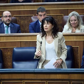 "Una regulación específica de la violencia vicaria la dotará de una carga simbólica"