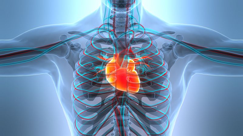 Imagen publicada en el medio