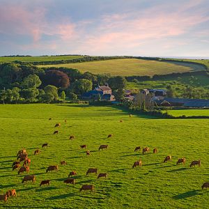 Mundo rural - Mundo rural - La dermatosis, seguros agrarios y variedades hortofrutícolas autóctonas - 10/10/25 - Escuchar ahora