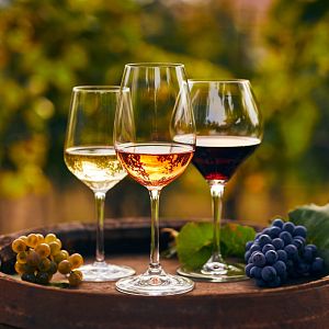 Documentos RNE - Cultura de la vid. El vino que viene - Documentos RNE | Escuchar