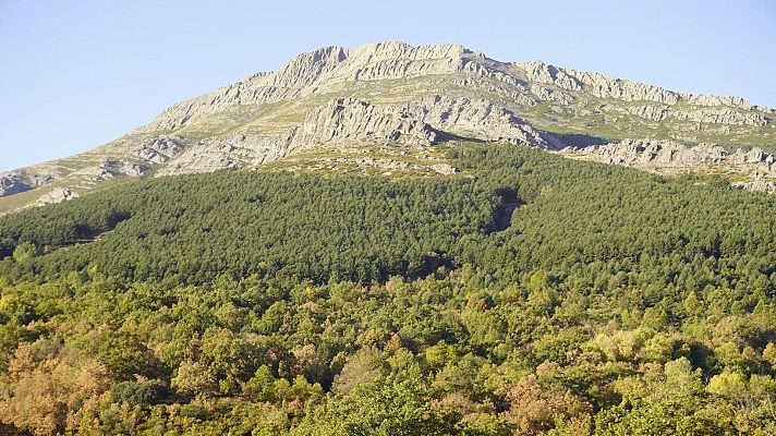 'Sierra Norte, Paisaje Vivo' para impulsar la vida rural - La Iberia verde | Escuchar
