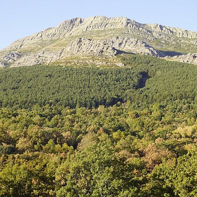 'Sierra Norte, Paisaje Vivo' para impulsar la vida rural - La Iberia verde | Escuchar
