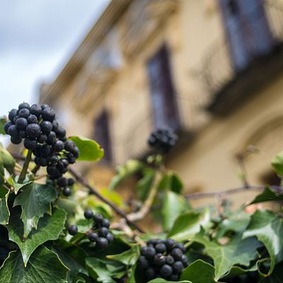 Arte, cultura y turismo para revitalizar las zonas rurales - En clave Turismo | Escuchar