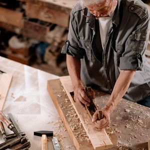 Memoria de delfín - Memoria de delfín - Carpintero, el arte de dar vida a la madera - escuchar ahora