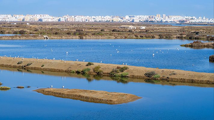 Un rincón donde la sal, la historia y la gastronomía se unen - Españoles en la mar | Escuchar
