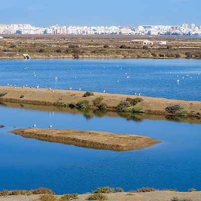 Un rincón donde la sal, la historia y la gastronomía se unen - Españoles en la mar | Escuchar