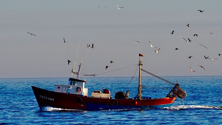 Solicitud a Europa para permitir la pesca en el Mediterráneo - Españoles en la mar | Escuchar