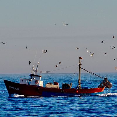 Solicitud a Europa para permitir la pesca en el Mediterráneo - Españoles en la mar | Escuchar