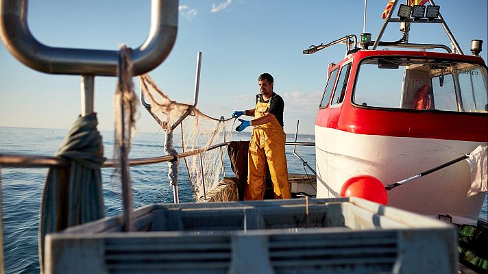 13 días adicionales de pesca que parecen insuficientes - Españoles en la mar | Escuchar