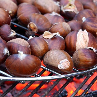 Magosto. La castaña como símbolo de cultura e identidad - Celebrando España | Escuchar