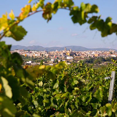 Tierra Bobal, un descubrimiento en el interior de Valencia - En clave Turismo | Escuchar