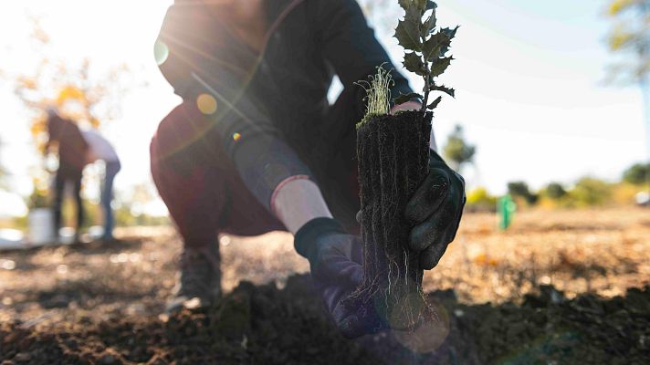Pesca de arrastre, ampliación Guggenheim y reforestación - La Iberia verde | Escuchar