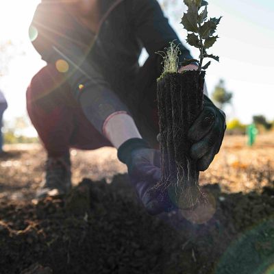 Pesca de arrastre, ampliación Guggenheim y reforestación - La Iberia verde | Escuchar