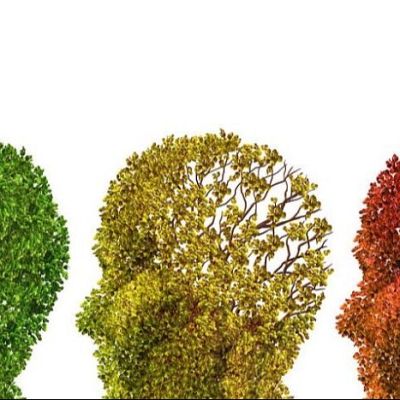 Sapiens - El alzhéimer, con Juan Fortea - 01/12/25 - Sapiens | Escuchar