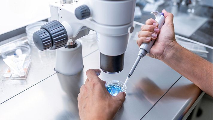 La infertilidad, uno de los problemas más olvidados de nuestra época - Mediodía en RNE | Escuchar