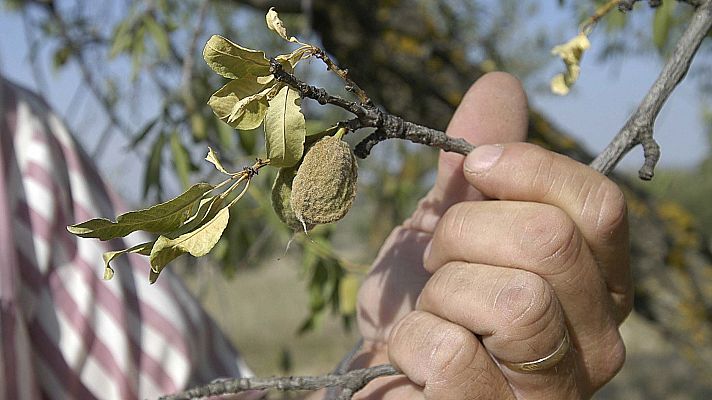 Estudio sobre la transición justa hacia el cambio climático - Marca España | Escuchar