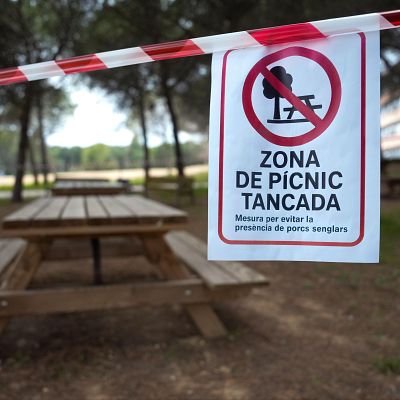 El sector ganadero reclama al Gobierno un plan a corto plazo para la gestión de la fauna salvaje - Las mañanas de RNE | Escuchar