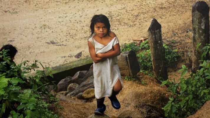 Exposición sobre los usos legales de la hoja de coca en Colombia - Hora América | Escuchar