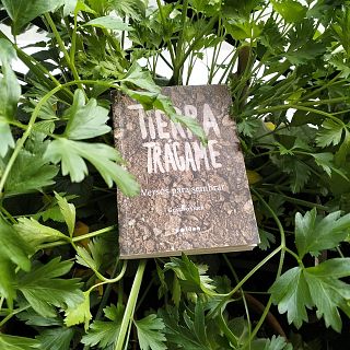 El bosque habitado