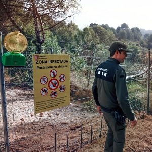 Europa abierta - El impacto en el sector cárnico del brote de peste porcina - Europa abierta | Escuchar