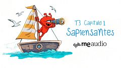 Sapiensantes - T3. E1. ¿Por qué flotan los barcos?