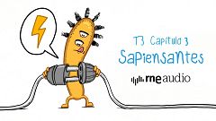 Sapiensantes - T3 - E3. ¿Qué es la electricidad?