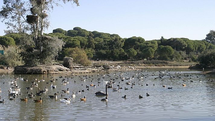 La Cañada de los Pájaros, la 1ª reserva natural concertada - La Iberia verde | Escuchar