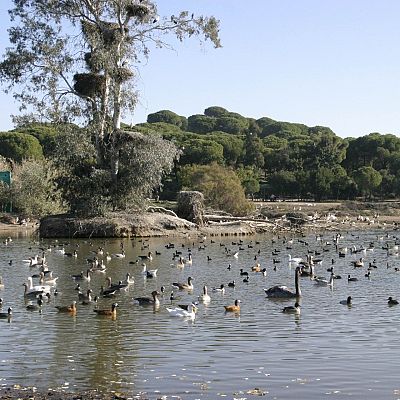 La Cañada de los Pájaros, la 1ª reserva natural concertada - La Iberia verde | Escuchar