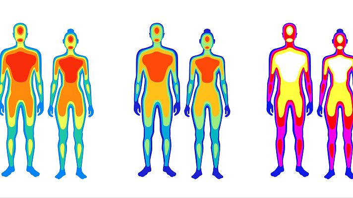 Sensores distintos detectan el frío en piel y órganos - A golpe de bit | Escuchar