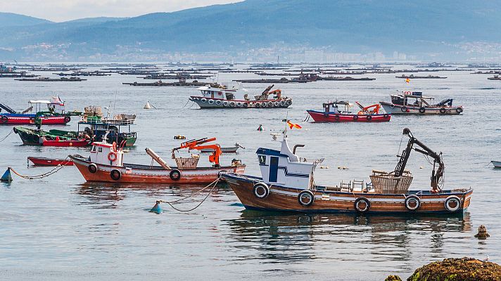 La flota de bajura vuelve a faenar tras las protestas - Españoles en la mar | Escuchar