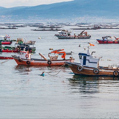 La flota de bajura vuelve a faenar tras las protestas - Españoles en la mar | Escuchar