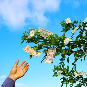 Economía de bolsillo - Frases que oímos de niños: “el dinero no crece en los árboles” - Economía de bolsillo | Escuchar