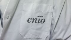 Investigadores del CNIO eliminan por primera vez en ratones los tumores más comunes del cáncer de páncreas