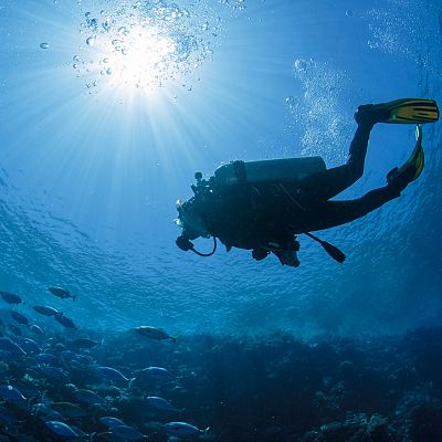 Cambios en la normativa del buceo en España - Españoles en la mar | Escuchar