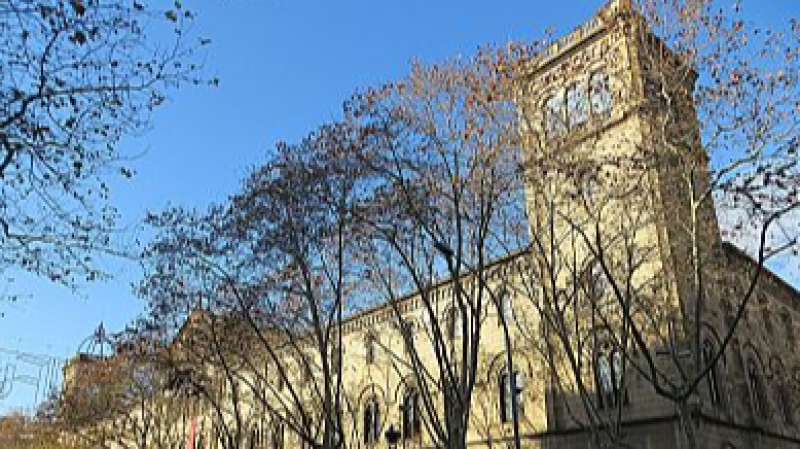 L'Entrellat - CAS CREA. Neus Roca: 