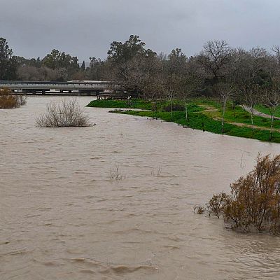 García Pelayo, alcaldesa de Jerez de la Frontera: \"No descartamos más desalojos\" - Las mañanas de RNE | Escuchar