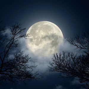 Documentos RNE - Documentos RNE - La Luna. Sol en la oscuridad - Documentos RNE | Escuchar