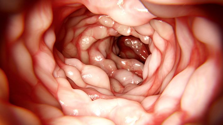 Los proyectos de jóvenes investigadoras españolas en la EII - A golpe de bit | Escuchar