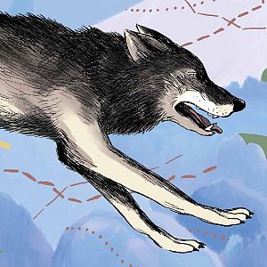 Territorio 9 - Territorio 9 - "La Espera", un viaje al corazón del lobo | Actores hechos cómic - 18/02/26 - Territorio 9 | Escuchar