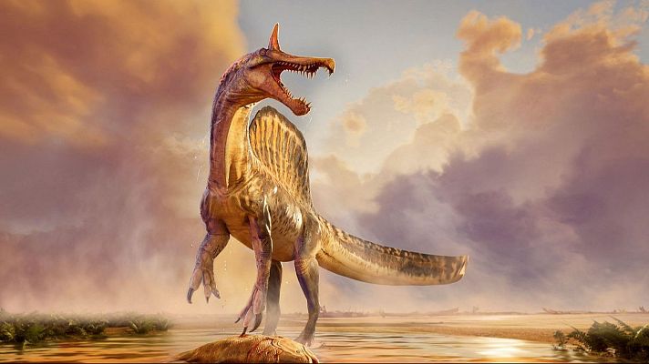 'Spinosaurus mirabilis', el nuevo dinosaurio descubierto - A golpe de bit | Escuchar