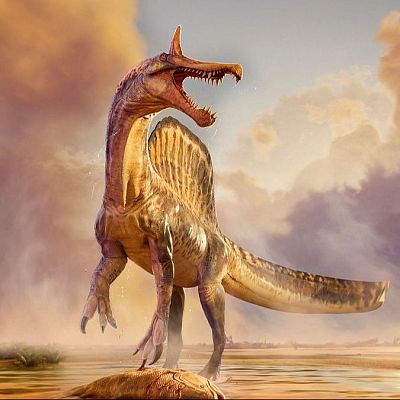 'Spinosaurus mirabilis', el nuevo dinosaurio descubierto - A golpe de bit | Escuchar