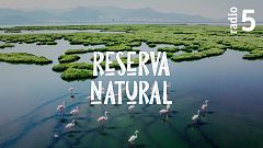 Reserva natural -  Monte público en venta