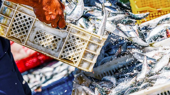 Los pescadores piden medidas por el alza de los carburantes - Españoles en la mar | Escuchar