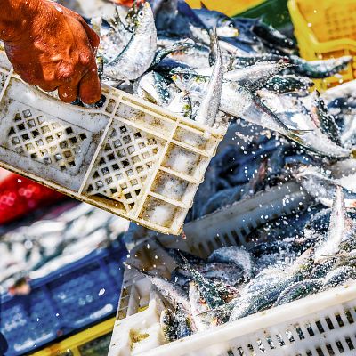 Los pescadores piden medidas por el alza de los carburantes - Españoles en la mar | Escuchar