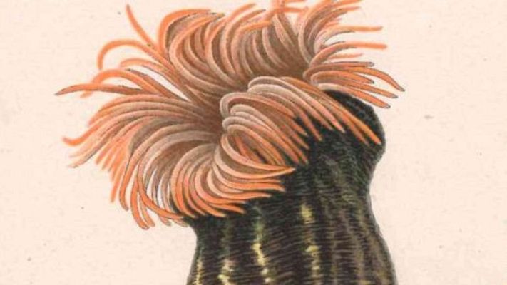 Arranca la XIII edición de Illustraciencia - A golpe de bit | Escuchar