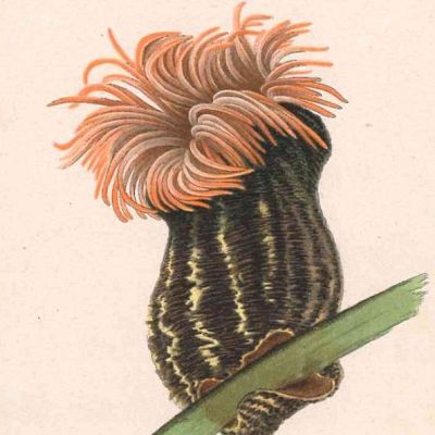 Arranca la XIII edición de Illustraciencia - A golpe de bit | Escuchar