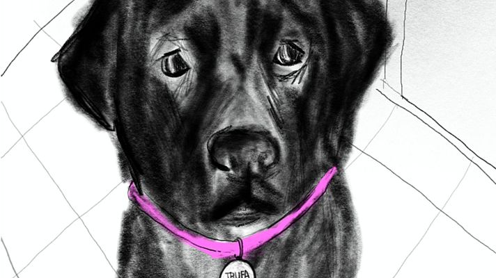 Territorio 9 - 'Trufa', el cómic que expresa con viñetas lo que los ladridos no pueden - 23/03/26 - Territorio 9 | Escuchar